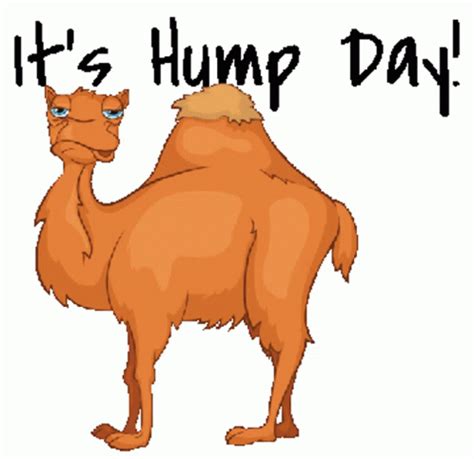 happy hump day gif|inappropriate hump day gifs.